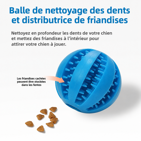 Balle à Mâcher COMFURT™ pour Chiens